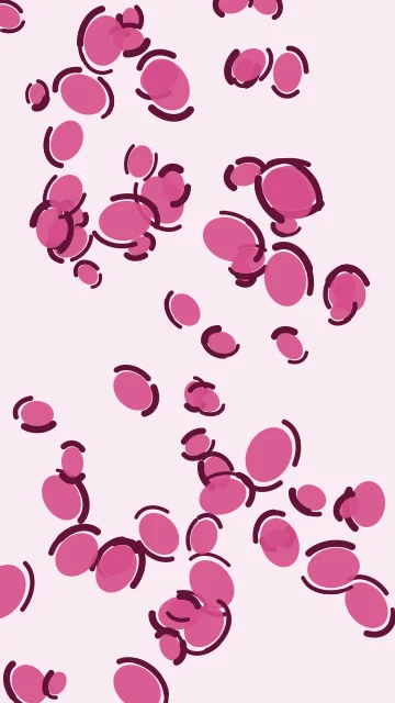 Sweet Peony leopard phone wallpaper — free HD sweet peony mobile wallpaper 1080x1920