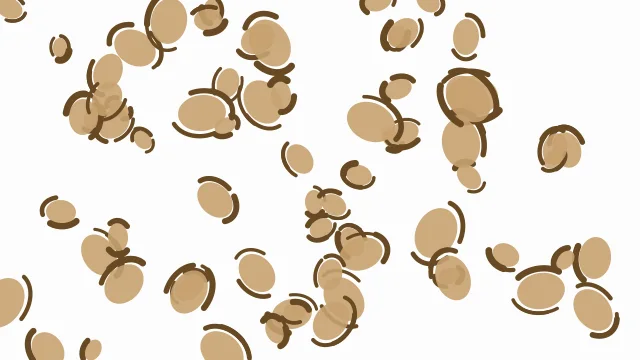 Tan leopard desktop wallpaper — free 4K tan wallpaper 3840x2160