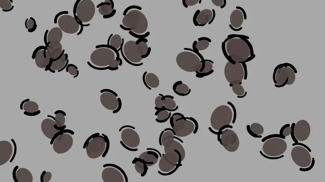 Taupe Grey leopard print background — free HD taupe grey color wallpaper 1920x1080