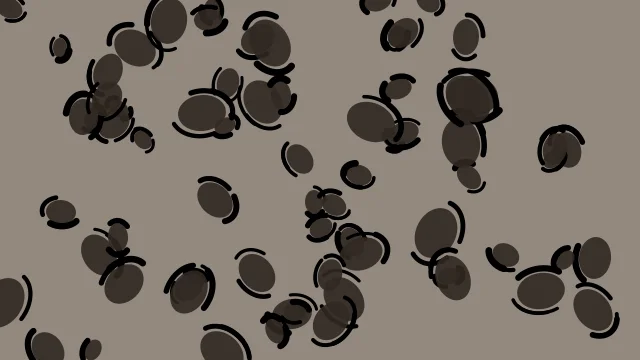 Taupe leopard print background — free HD taupe color wallpaper 1920x1080