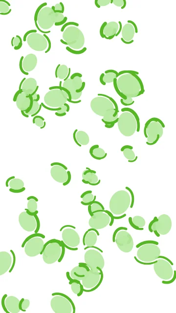 Tea Green leopard phone wallpaper — free HD tea green mobile wallpaper 1080x1920