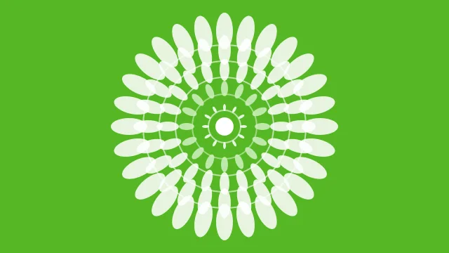 Tea Green mandala desktop wallpaper — free 4K tea green wallpaper 3840x2160