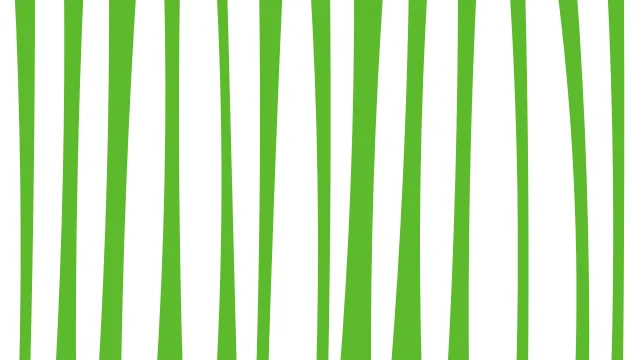 Tea Green zebra desktop wallpaper — free 4K tea green wallpaper 3840x2160