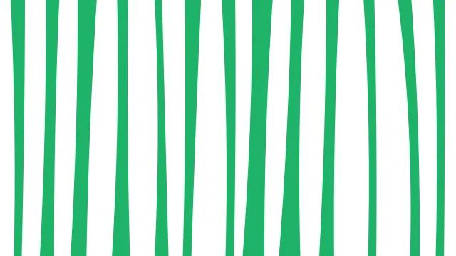 Teal 200 zebra desktop wallpaper — free 4K teal 200 wallpaper 3840x2160