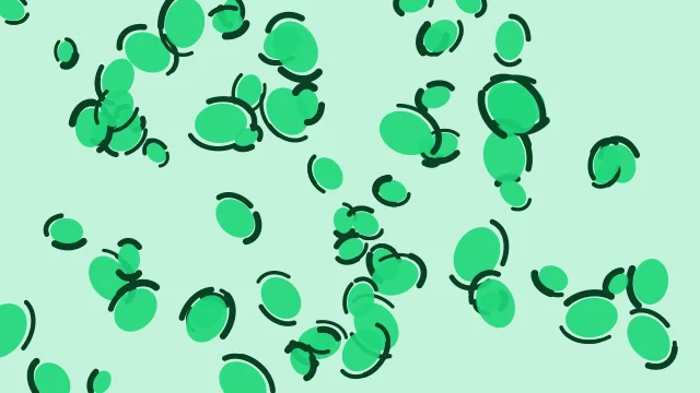 Teal 400 leopard desktop wallpaper — free 4K teal 400 wallpaper 3840x2160