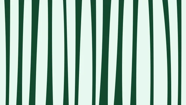 Teal 400 zebra desktop wallpaper — free 4K teal 400 wallpaper 3840x2160