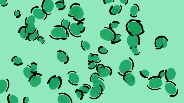 Teal 500 leopard desktop wallpaper — free 4K teal 500 wallpaper 3840x2160