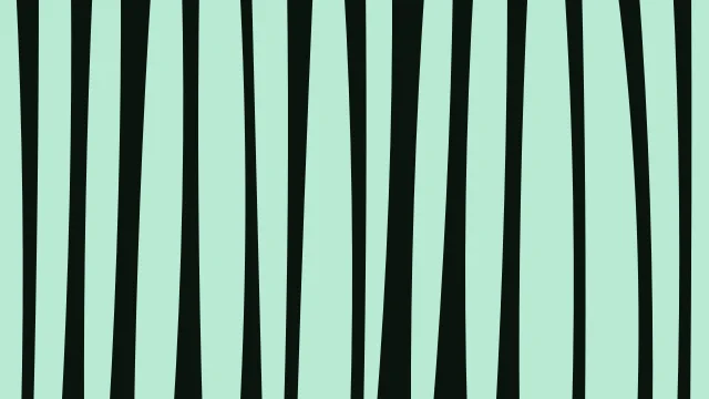 Teal 500 zebra desktop wallpaper — free 4K teal 500 wallpaper 3840x2160