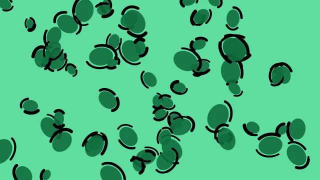 Teal 600 leopard desktop wallpaper — free 4K teal 600 wallpaper 3840x2160