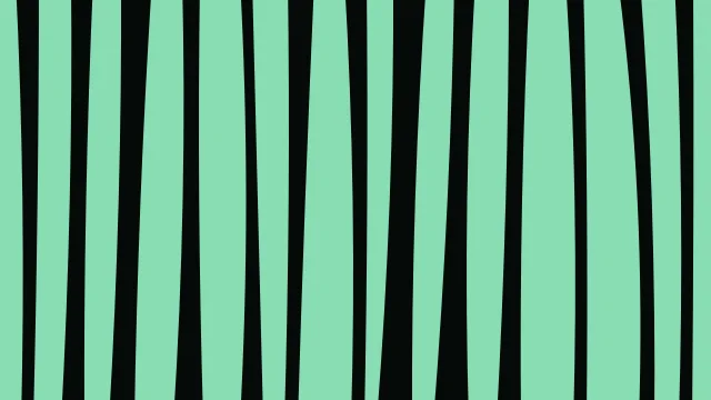 Teal 600 zebra desktop wallpaper — free 4K teal 600 wallpaper 3840x2160