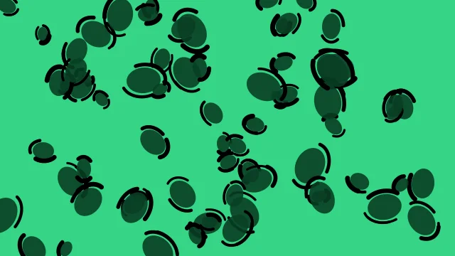 Teal 700 leopard desktop wallpaper — free 4K teal 700 wallpaper 3840x2160