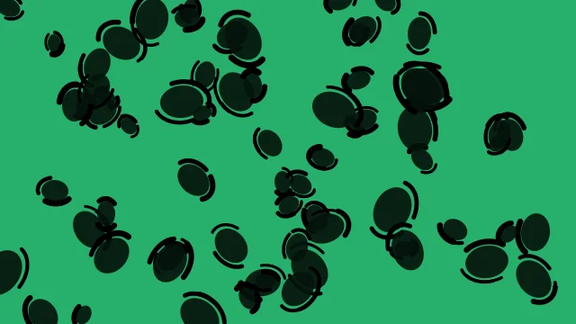 Teal 800 leopard desktop wallpaper — free 4K teal 800 wallpaper 3840x2160