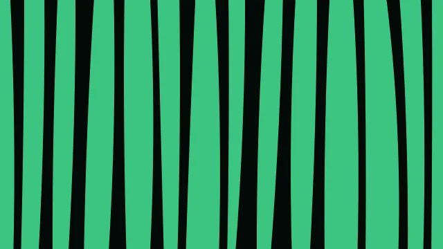 Teal 800 zebra desktop wallpaper — free 4K teal 800 wallpaper 3840x2160