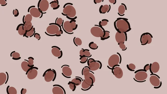 Terracotta Clay leopard print background — free HD terracotta clay color wallpaper 1920x1080