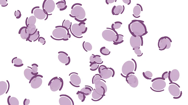 Thistle leopard desktop wallpaper — free 4K thistle wallpaper 3840x2160
