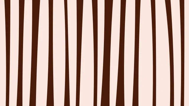 Tiger Flame zebra print background — free HD tiger flame color wallpaper 1920x1080