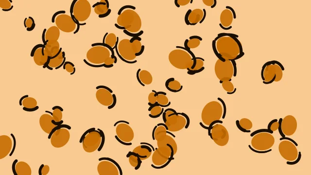 Tiger Orange leopard print background — free HD tiger orange color wallpaper 1920x1080