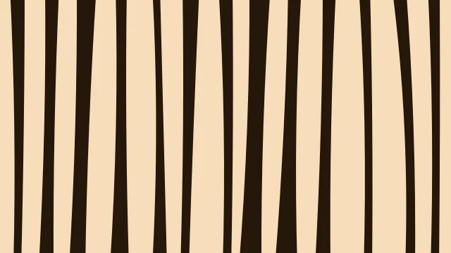 Tiger Orange zebra print background — free HD tiger orange color wallpaper 1920x1080