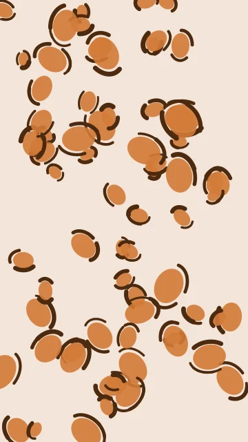 Toasted Almond leopard phone wallpaper — free HD toasted almond mobile wallpaper 1080x1920