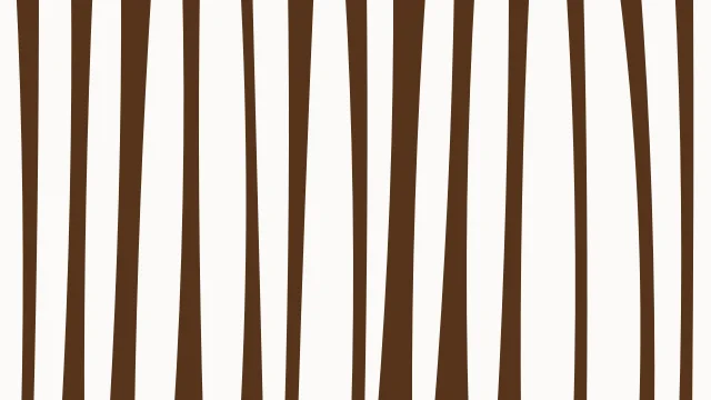 Toasted Almond zebra print background — free HD toasted almond color wallpaper 1920x1080