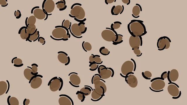 Toffee Brown leopard desktop wallpaper — free 4K toffee brown wallpaper 3840x2160