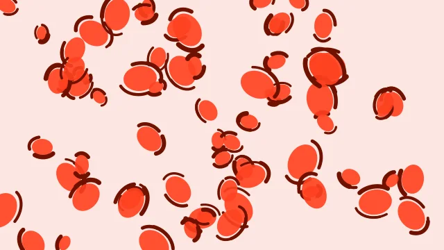 Tomato leopard desktop wallpaper — free 4K tomato wallpaper 3840x2160