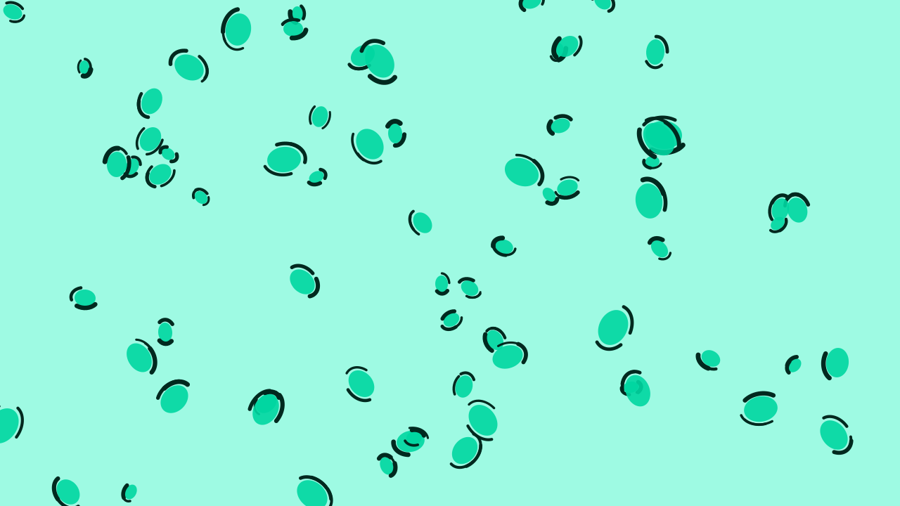 Tropical Mint leopard print background — free HD tropical mint color wallpaper 1920x1080