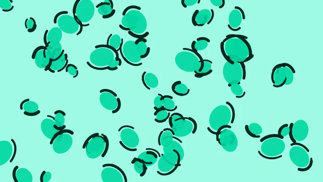 Tropical Mint leopard print background — free HD tropical mint color wallpaper 1920x1080