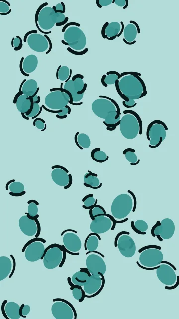 Tropical Teal leopard phone wallpaper — free HD tropical teal mobile wallpaper 1080x1920