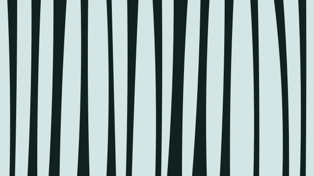 Tropical Teal zebra desktop wallpaper — free 4K tropical teal wallpaper 3840x2160