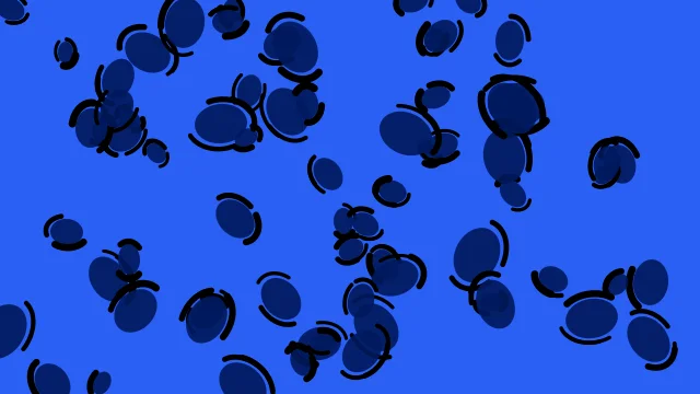 True Cobalt leopard print background — free HD true cobalt color wallpaper 1920x1080
