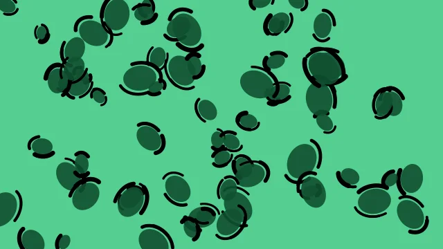 Turf Green leopard print background — free HD turf green color wallpaper 1920x1080