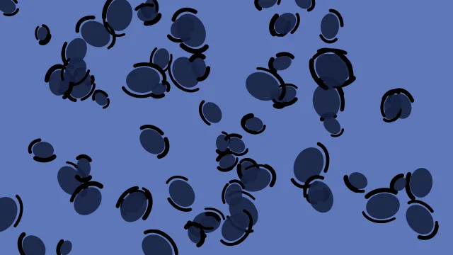 Twilight Indigo leopard print background — free HD twilight indigo color wallpaper 1920x1080