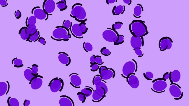 Ultra Violet leopard print background — free HD ultra violet color wallpaper 1920x1080