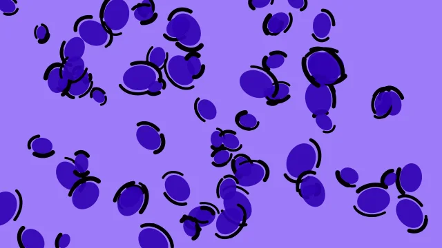 Ultrasonic Blue leopard print background — free HD ultrasonic blue color wallpaper 1920x1080