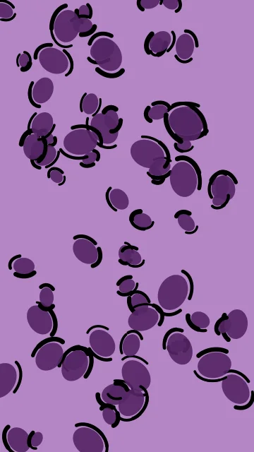 Velvet Orchid leopard phone wallpaper — free HD velvet orchid mobile wallpaper 1080x1920