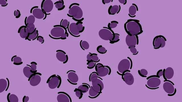 Velvet Orchid leopard print background — free HD velvet orchid color wallpaper 1920x1080