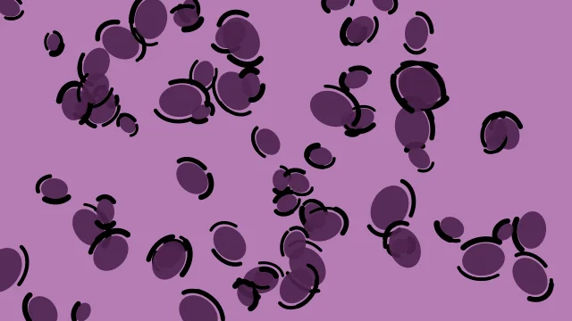 Velvet Purple leopard print background — free HD velvet purple color wallpaper 1920x1080