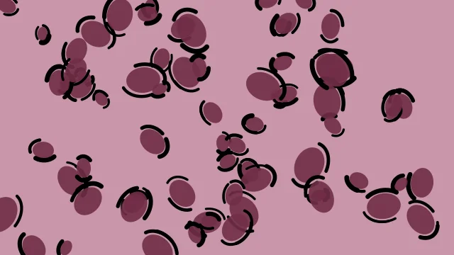 Vintage Berry leopard desktop wallpaper — free 4K vintage berry wallpaper 3840x2160