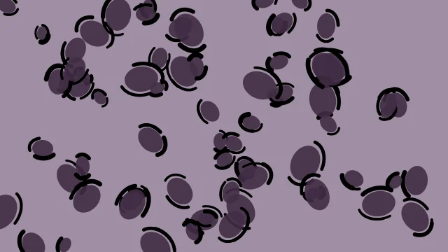 Vintage Grape leopard desktop wallpaper — free 4K vintage grape wallpaper 3840x2160