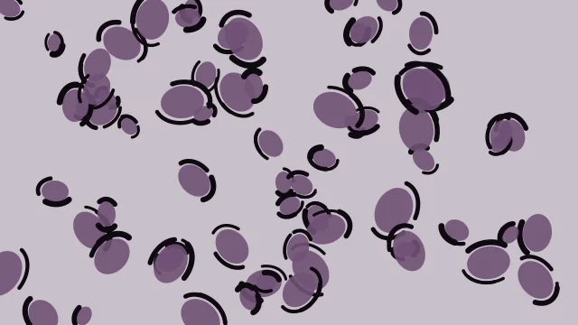 Vintage Lavender leopard print background — free HD vintage lavender color wallpaper 1920x1080