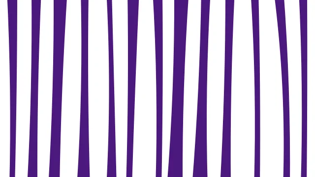 Violet 300 zebra print background — free HD violet 300 color wallpaper 1920x1080