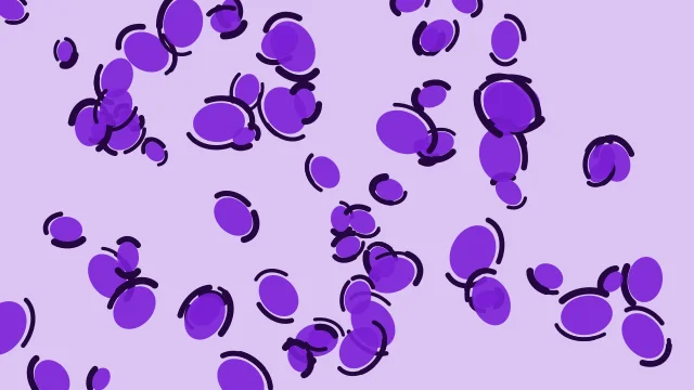 Violet 400 leopard print background — free HD violet 400 color wallpaper 1920x1080