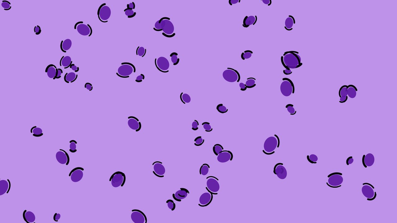 Violet 500 leopard print background — free HD violet 500 color wallpaper 1920x1080