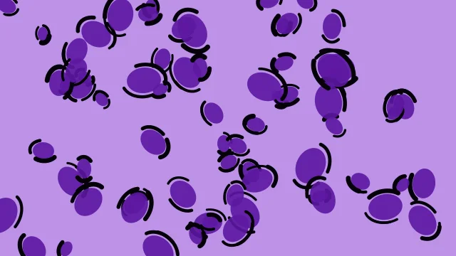 Violet 500 leopard print background — free HD violet 500 color wallpaper 1920x1080