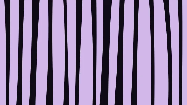 Violet 500 zebra print background — free HD violet 500 color wallpaper 1920x1080