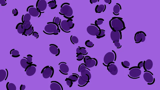 Violet 600 leopard print background — free HD violet 600 color wallpaper 1920x1080