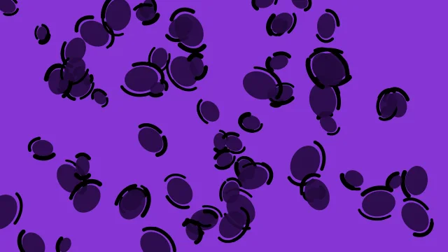 Violet 700 leopard desktop wallpaper — free 4K violet 700 wallpaper 3840x2160