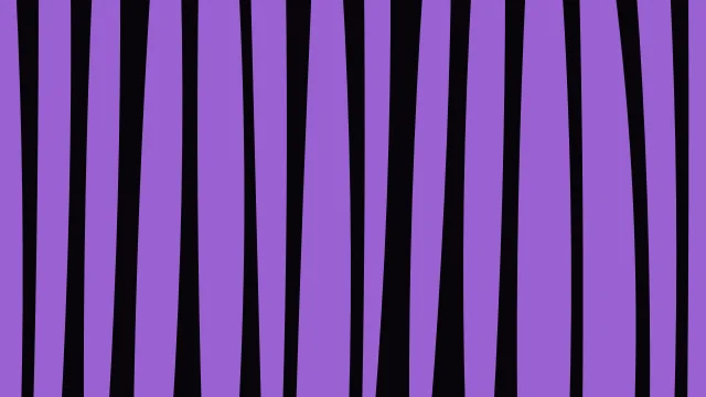 Violet 700 zebra desktop wallpaper — free 4K violet 700 wallpaper 3840x2160