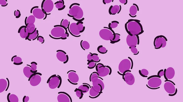 Vivid Orchid leopard print background — free HD vivid orchid color wallpaper 1920x1080